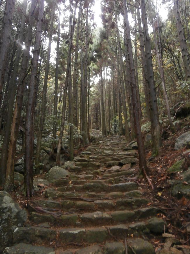 松本峠までは５００Ｍほどですが、上り始めてすぐこの急な坂があり、結構きついです〜。