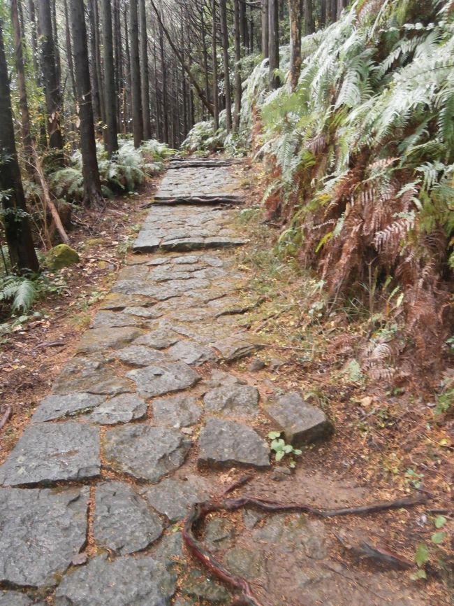 ２５０Ｍほど行くと一旦楽になりますが、また急な坂・・・