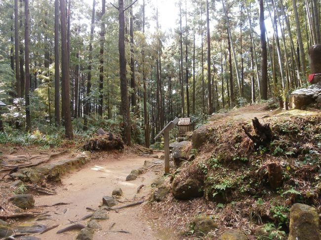 短いですが神秘的でとても雰囲気があります。<br />松本峠をまっすぐ進むと、熊野市駅方面に抜けることもできます。