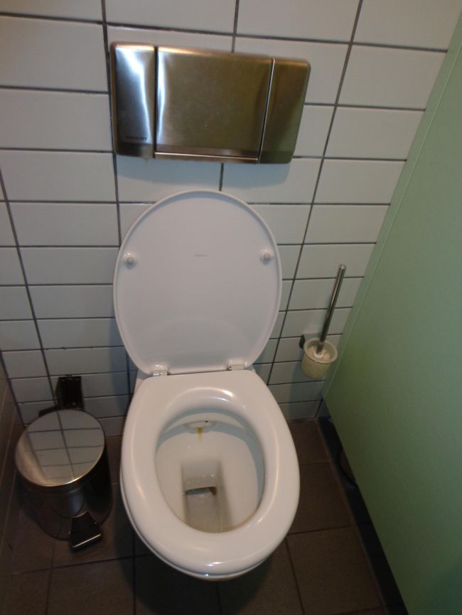 ブリュッセルの南駅出国後。無料。<br /><br />フラッシュ部に関しては，オランダもベルギーも，このタイプか，ブルージュ鐘楼下トイレのようなタイプが殆どでした。