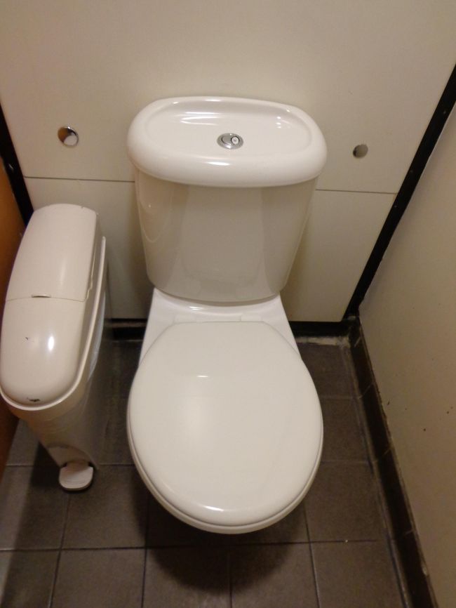 ロンドンのコートルード美術館。無料。<br />ロンドンのトイレのフラッシュ部は，日本に近いタイプだと思います。