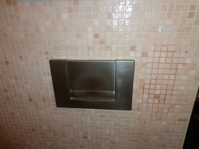 上記トイレのフラッシュ部。