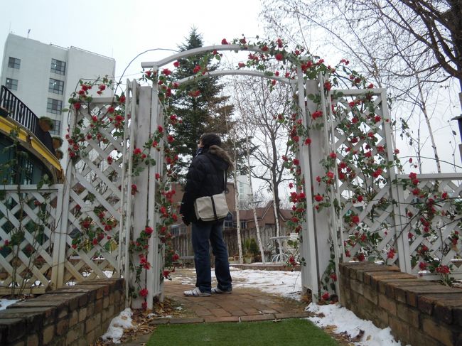 ドラマを見てから行くと、結構感動します<br />写真はグッズ以外全てＯＫ！！<br />ものすごい写真の量なので、厳選してＵＰします