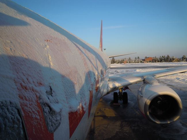 翼の雪を下すため飛行機は1時間以上遅れました<br /><br />★済州航空7C1682　金浦発　名古屋着★