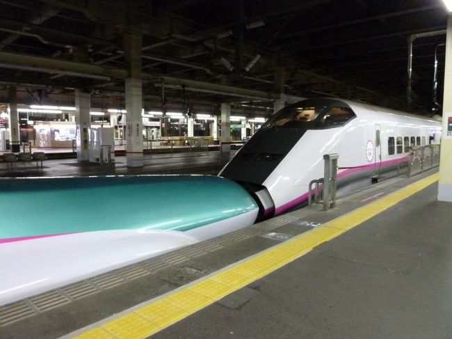 新幹線“はやてこまち”に乗って〜田沢湖まで。<br /><br />この新幹線早いよ〜！<br /><br />→仙台→盛岡→　しか止まらない！！<br /><br />しかも盛岡で、はやてとこまちに分かれるのだ。<br /><br />あっという間に到着です。