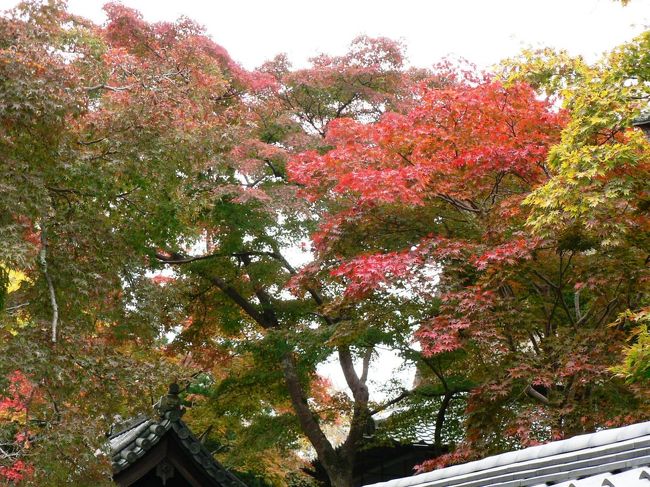 日本の旅　関西を歩く　大阪府河内長野市の後村上天皇の行在所だった金剛寺（こんごうじ）周辺