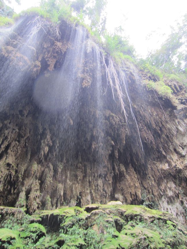 映画”アバター”の世界みたい。深い森の奥の滝は幻想的です☆