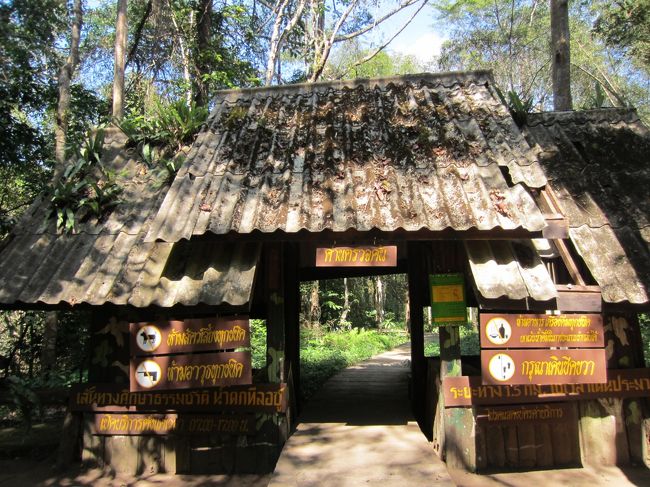 翌朝、いよいよ滝に向かいます！