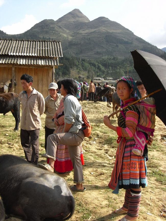 牛も売られているようだった。<br /><br />ただ、写真では若者の足置きになっているけれど・・・