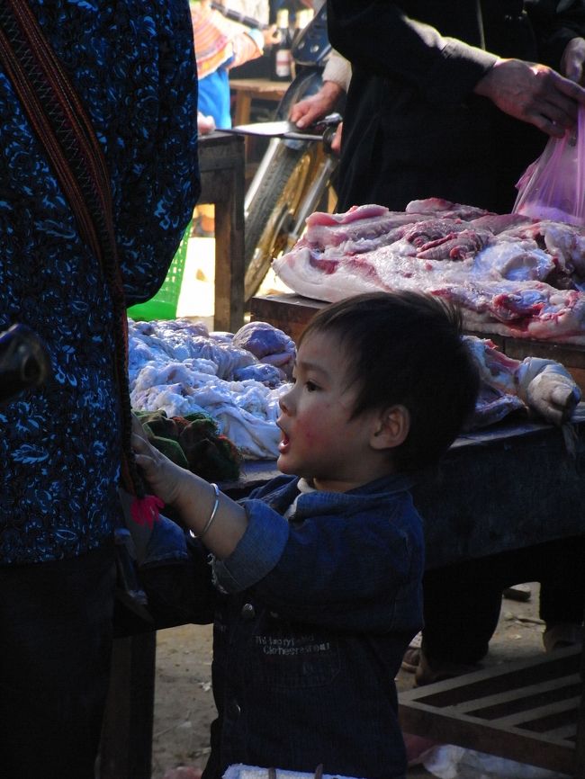お母さんがかまってくれないので・・・