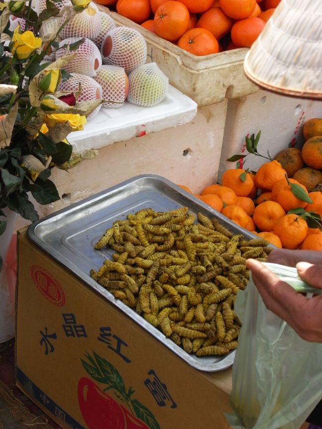 みかんと一緒に芋虫・・・
