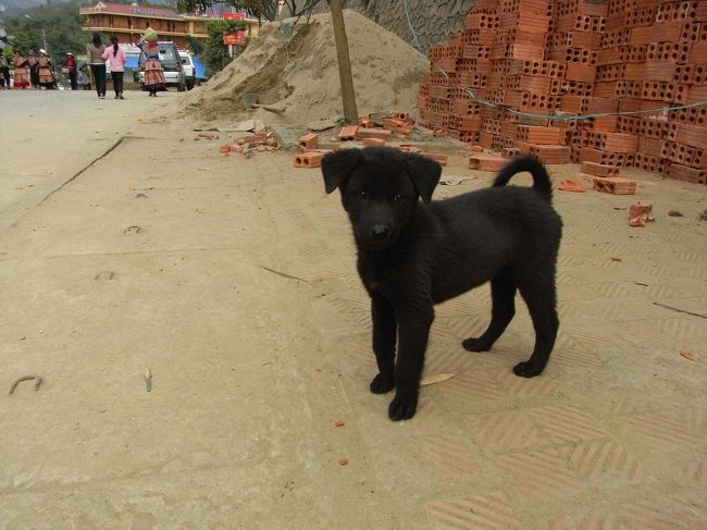 街は建設中の建物が多い