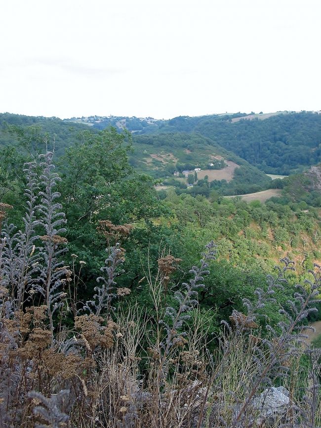 　D 903号線<br /><br />　登ったり下ったり、結局、丘を2つ越える事になりました。<br /><br />　30kmも楽じゃないけど、2つの丘越えは、かなり厳しい・・・