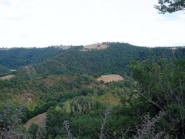 　D 903号線〜D 10号線<br /><br />　「Naucelle」の町は、約30km先です、予約は出来てるのですけれど、あまり遅くなってもまずいので、必死で、丘の道を走ります。