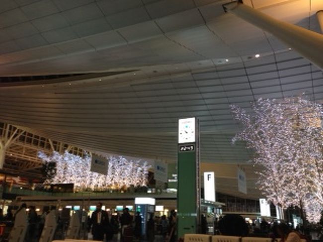 12月28日(金)　伊丹から羽田へ移動<br />12月29日(土)  01:30 羽田発のJAL便で出発！<br />夕方まで仕事して深夜発、パリ着も翌朝だから、けっこう便利！<br /><br /><br />写真は、羽田空港