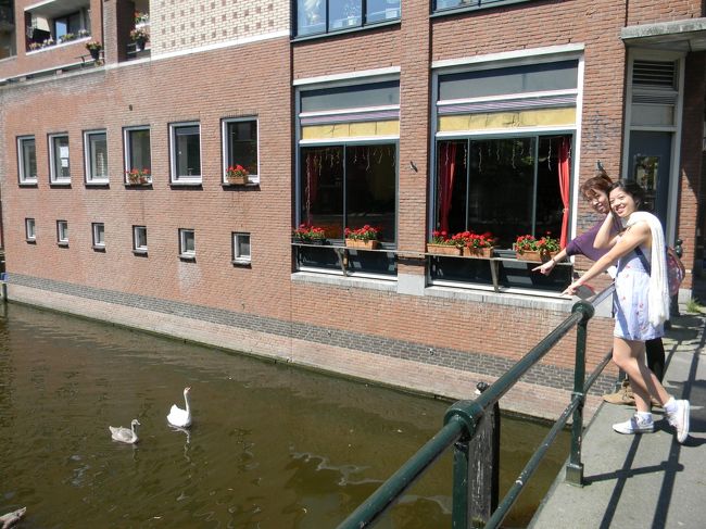 かーわいい！！どうしてヨーロッパの鳥ってこんなにかわいいのでしょう？