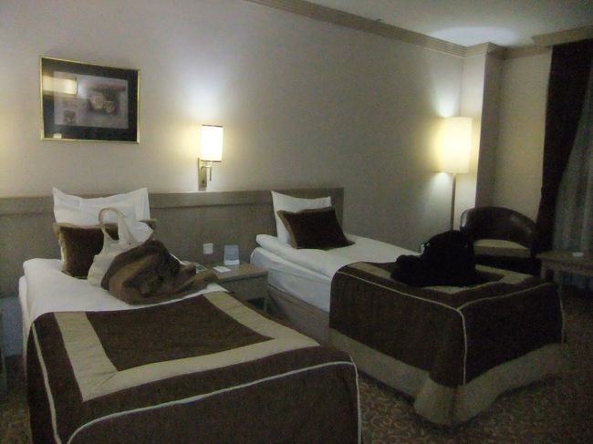 実はこの日当初の予定では寝台列車（アンカラ→イスタンブール）に乗るはずだったんですが、２月はやってないとかでホテルに泊まることになったのです。<br />寝台列車だとお風呂入れないことが懸念されたので結果良かったです。<br /><br />アンカラのホテル。ここも５つ星です。<br /><br />広い部屋。