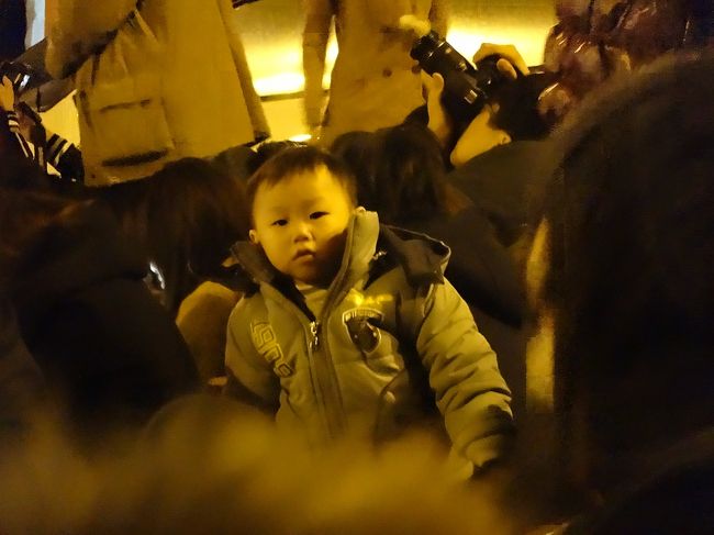 ちいさな男の子がじーーーっとこちらを見つめています。<br />なにかついてる？