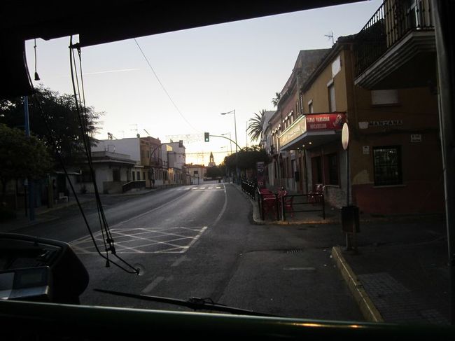 8:00を過ぎて、ようやく明るくなってきました。