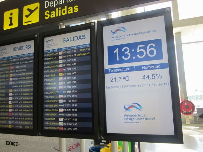 気温は20度を超えており、宮城から冬装備でやってきた身には少々暑いですね。