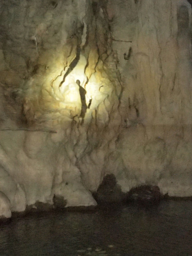 これは何かを一生懸命船頭さんが説明してくれていたのだがさっぱり理解できなかった。