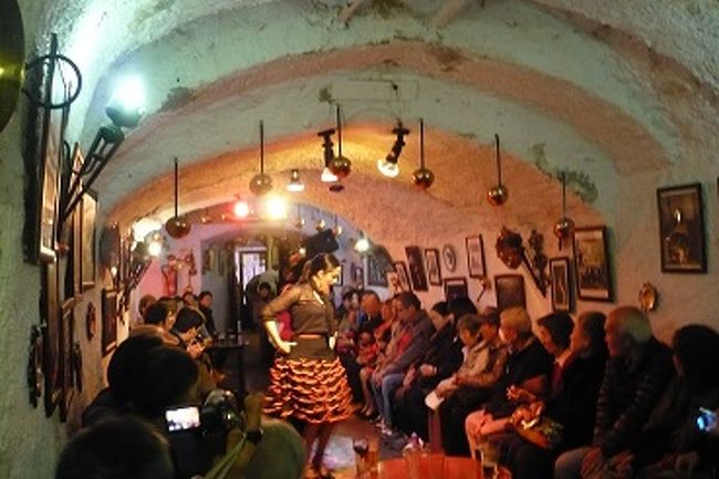 グラナダでの夜に、<br />洞窟のフラメンコ鑑賞。<br />以前、半年だけ習ってましたが、<br />足だけなら良いのですが、<br />手の動きがつくと…<br />どうやら才能がないようです。