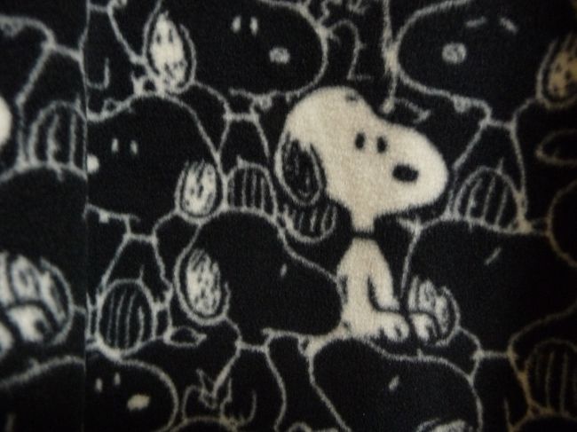 スヌーピー柄部分をズーム。<br />ね、可愛いでしょう！<br /><br />美味しいスイーツにもありつけたし、可愛い服も買えたし...<br />遠出こそしなかったものの、連休の中日を楽しく過ごせました。<br /><br />"The End"