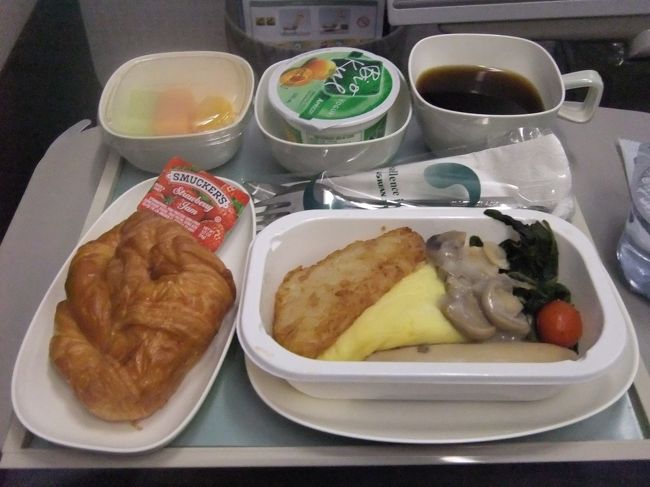 帰りもバルクがとれた♪<br />搭乗後はひたすら爆睡して、朝ご飯で起こされる。