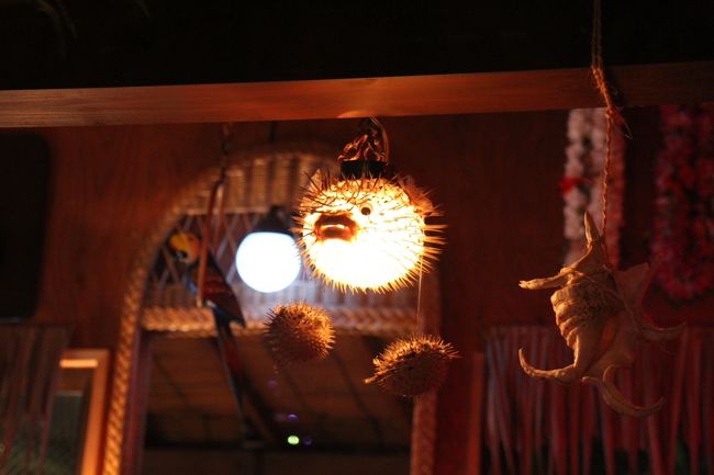 ふぐ？ハリセンボン？