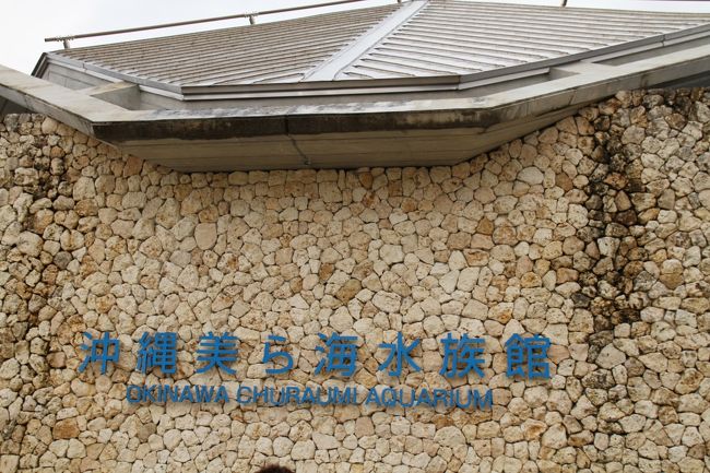 美ら海水族館です。