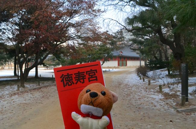 歩いて、徳寿宮に来ました。<br /><br />徳寿宮のクチコミ<br />http://4travel.jp/overseas/area/asia/korea/seoul/kankospot/10007324/tips/10499951/#contents_inner