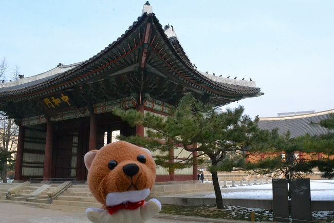 韓国らしいねぇ。