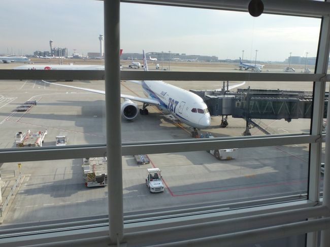 787に初めて搭乗します。<br />飛行機ファンじゃないですが、新しい機体にワクワクします。