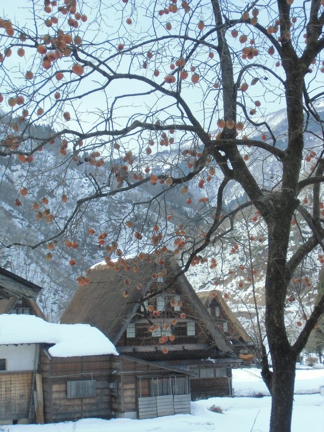 白川郷　菅沼地区<br />軒数が少なく　こじんまりしてます