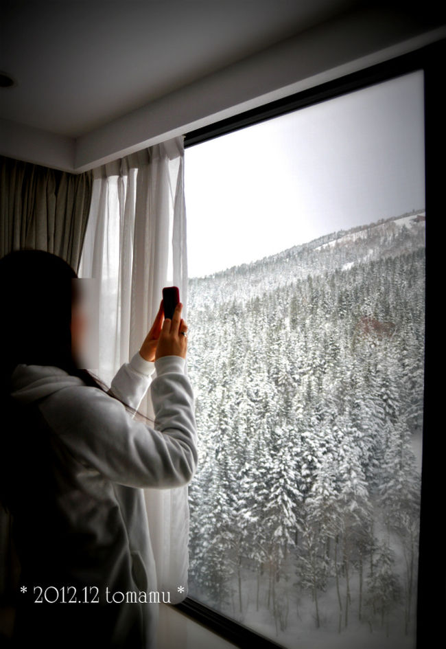 ランチが終了して、一旦ホテルの部屋へ。<br /><br />部屋の窓からは<br />スキー場のコースと針葉樹林♪<br /><br />一面、真っ白で、<br />ザ・雪国を実感。<br /><br /><br />