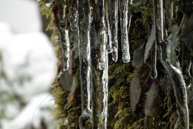 縁側に座り込んで撮影しました