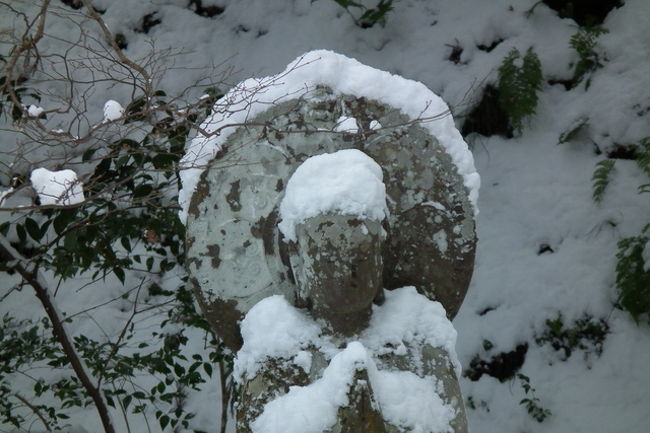 寒そうだけど・・・マフラー持ってそこまで行けないよ〜！