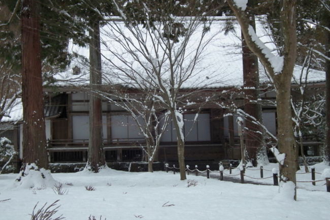 いやあ〜本当にいい時にきて　良い風景に出会えました