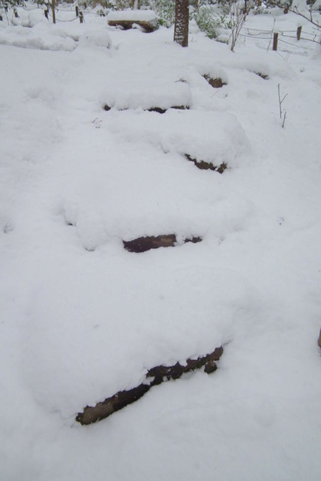 雪に埋もれた石段