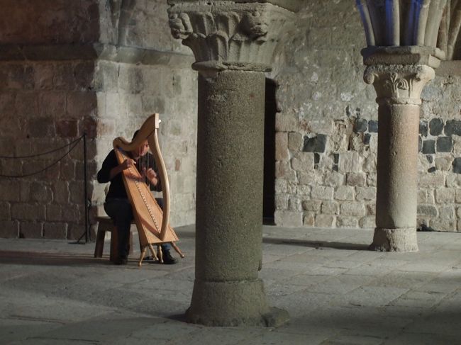 ハープを弾いている人がいました♪ドラクエを思い出しました！