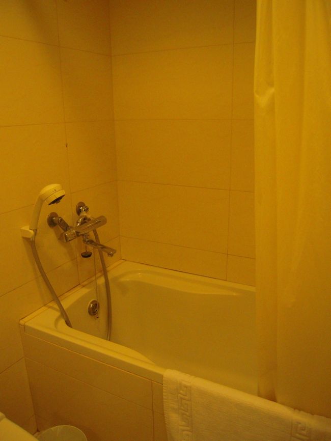 お風呂。シャワーも可動式です。