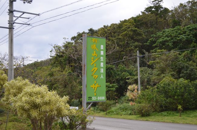 続けて名護市の同じくコロプラ提携店の「勝山シークワーサー」で土産を買いコロカをゲット
