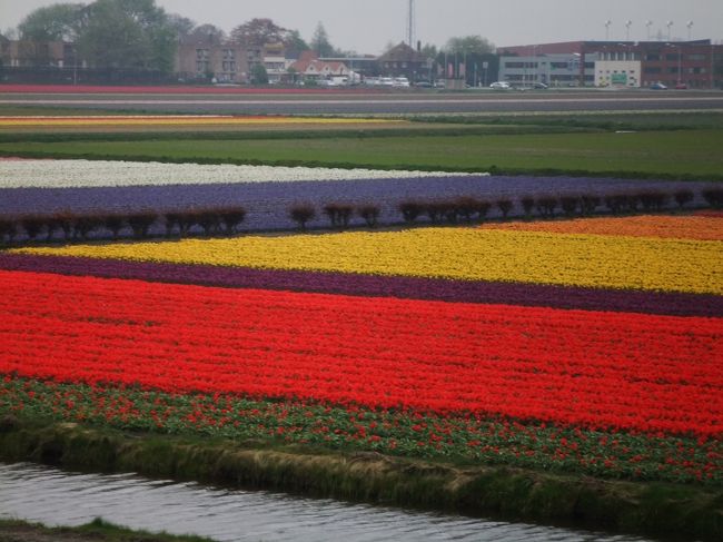 オランダに来たぞ〜っていう景色ですよね<br />