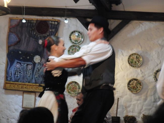 フォークロアディナーショー<br />２人やグループ・観客も参加して踊ります。