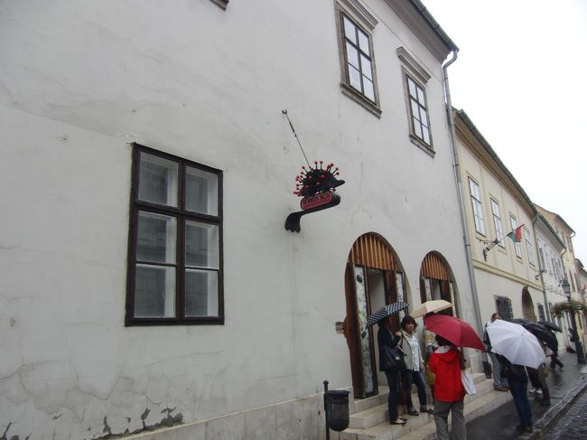 漁夫の砦やマーチャーシュ聖堂を見学した後に<br />現地ガイドさんに連れてこられたお土産屋さん<br />