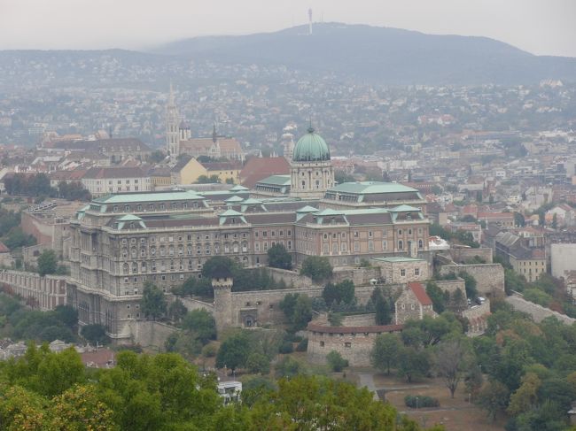 展望台<br />他にも観光バスが結構いました。