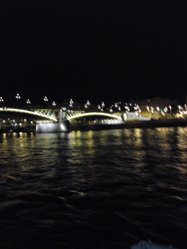 ドナウ川ナイトクルーズ<br />失態に沈んでいましたが<br />ライトアップを見て<br />テンションアップ(^O^)