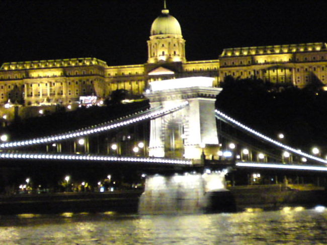 ドナウ川ナイトクルーズ<br />船が動くのでアングルが〜