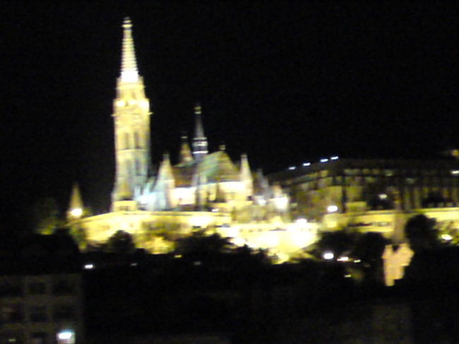 ドナウ川ナイトクルーズ