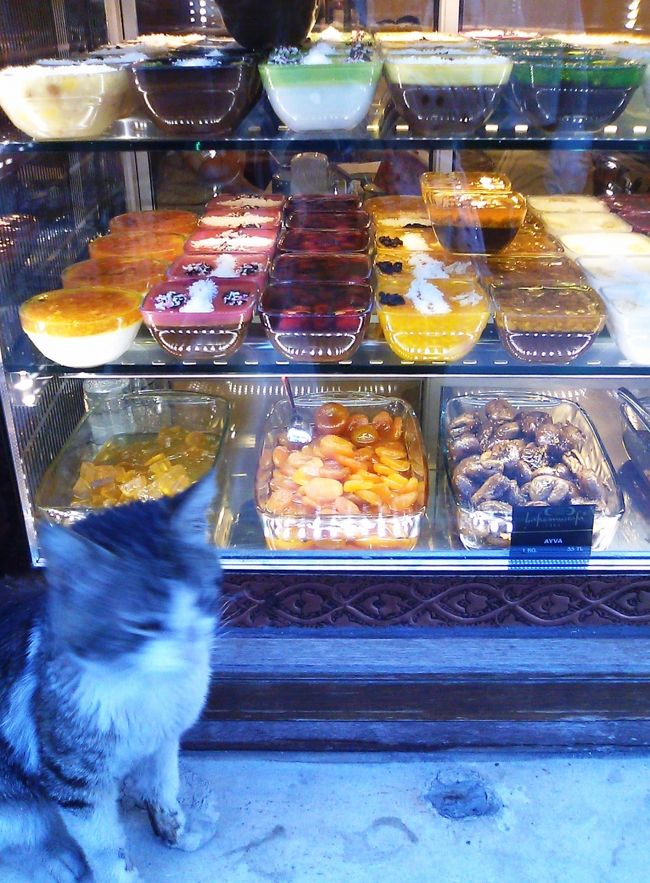 ↑菓子屋の写真を撮ろうとしたら「吾輩も撮ってくれ〜」と猫が入って来た。 <br /><br />夕食時、それぞれの店がキャッチをしてる。 <br />見えるように食べ物を店頭に並べているある店の前で、どうしようか考えてると <br />ほらほらさっさと入って入って！と急かすので、まーここにするか。